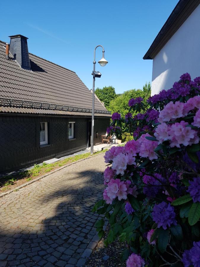 Pilgrims "Elfriede"- Freundliche Unterkunft Remblinghausen Eksteriør billede